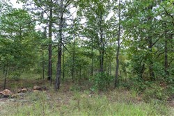 property photo for Stone Bridge Phase V Tract 351, 5.57 acres for sale in LatimerHaskell County, Oklahoma