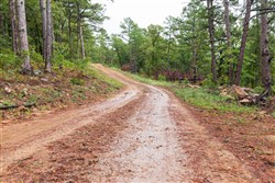 Stone Bridge Phase V Tract 352