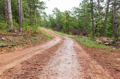 Stone Bridge Phase V Tract 352