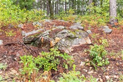 Stone Bridge Phase V Tract 352