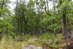 property photo for Stone Bridge Phase V Tract 353, 10.44 acres for sale in LatimerHaskell County, Oklahoma
