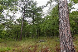 property photo for Stone Bridge Phase V Tract 353, 10.44 acres for sale in LatimerHaskell County, Oklahoma