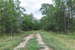 property photo for Stone Bridge Phase V Tract 354, 6.02 acres for sale in LatimerHaskell County, Oklahoma