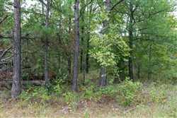property photo for Stone Bridge Phase V Tract 354, 6.02 acres for sale in LatimerHaskell County, Oklahoma
