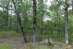 property photo for Stone Bridge Phase V Tract 354, 6.02 acres for sale in LatimerHaskell County, Oklahoma