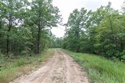 property photo for Stone Bridge Phase V Tract 354, 6.02 acres for sale in LatimerHaskell County, Oklahoma