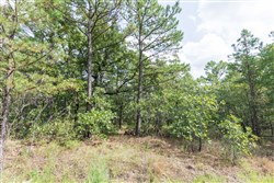 property photo for Stone Bridge Phase V Tract 354, 6.02 acres for sale in LatimerHaskell County, Oklahoma