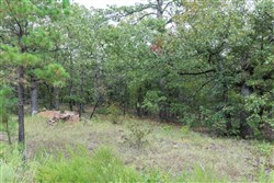 property photo for Stone Bridge Phase V Tract 355, 5.33 acres for sale in LatimerHaskell County, Oklahoma