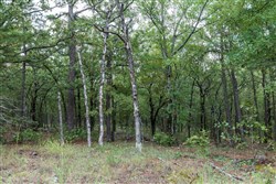 property photo for Stone Bridge Phase V Tract 355, 5.33 acres for sale in LatimerHaskell County, Oklahoma