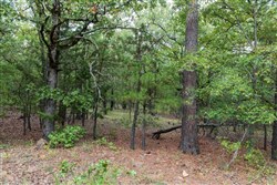property photo for Stone Bridge Phase V Tract 355, 5.33 acres for sale in LatimerHaskell County, Oklahoma