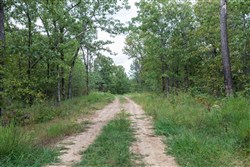 property photo for Stone Bridge Phase V Tract 355, 5.33 acres for sale in LatimerHaskell County, Oklahoma