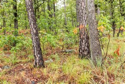 property photo for Stone Bridge Phase V Tract 356, 14.06 acres for sale in LatimerHaskell County, Oklahoma