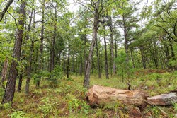 property photo for Stone Bridge Phase V Tract 356, 14.06 acres for sale in LatimerHaskell County, Oklahoma