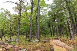 property photo for Stone Bridge Phase V Tract 356, 14.06 acres for sale in LatimerHaskell County, Oklahoma