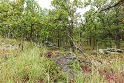 property photo for Stone Bridge Phase V Tract 357, 8.91 acres for sale in LatimerHaskell County, Oklahoma