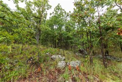 property photo for Stone Bridge Phase V Tract 357, 8.91 acres for sale in LatimerHaskell County, Oklahoma