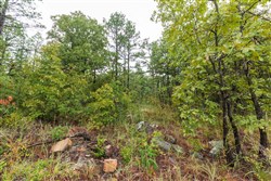 property photo for Stone Bridge Phase V Tract 357, 8.91 acres for sale in LatimerHaskell County, Oklahoma