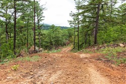 property photo for Stone Bridge Phase V Tract 357, 8.91 acres for sale in LatimerHaskell County, Oklahoma