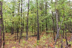 property photo for Stone Bridge Phase V Tract 357, 8.91 acres for sale in LatimerHaskell County, Oklahoma