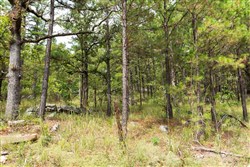 property photo for Stone Bridge Phase V Tract 358, 7.58 acres for sale in LatimerHaskell County, Oklahoma