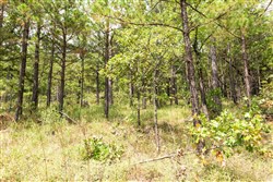 property photo for Stone Bridge Phase V Tract 358, 7.58 acres for sale in LatimerHaskell County, Oklahoma