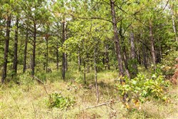 property photo for Stone Bridge Phase V Tract 358, 7.58 acres for sale in LatimerHaskell County, Oklahoma