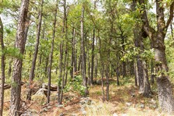 property photo for Stone Bridge Phase V Tract 358, 7.58 acres for sale in LatimerHaskell County, Oklahoma
