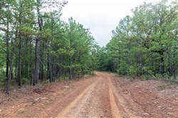 Stone Bridge Phase V Tract 359