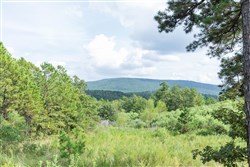 Stone Bridge Phase V Tract 359