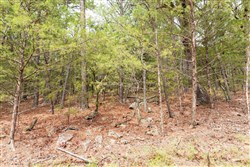 Stone Bridge Phase V Tract 360