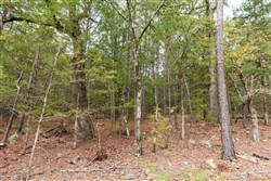 Stone Bridge Phase V Tract 360