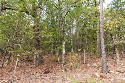 Stone Bridge Phase V Tract 360