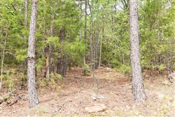 Stone Bridge Phase V Tract 360