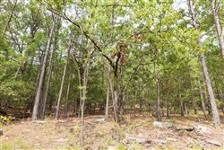 Stone Bridge Phase V Tract 360