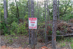 Stone Bridge Phase V Tract 360