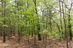 property photo for Stone Bridge Phase V Tract 362, 11.45 acres for sale in LatimerHaskell County, Oklahoma