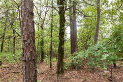 property photo for Stone Bridge Phase V Tract 362, 11.45 acres for sale in LatimerHaskell County, Oklahoma