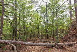 property photo for Stone Bridge Phase V Tract 362, 11.45 acres for sale in LatimerHaskell County, Oklahoma