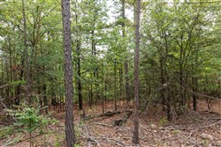 property photo for Stone Bridge Phase V Tract 362, 11.45 acres for sale in LatimerHaskell County, Oklahoma