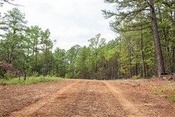 property photo for Stone Bridge Phase V Tract 362, 11.45 acres for sale in LatimerHaskell County, Oklahoma