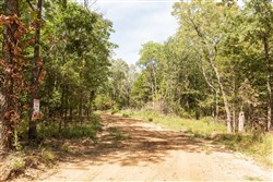 Stone Bridge Phase V Tract 363