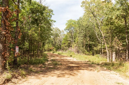 Stone Bridge Phase V Tract 363