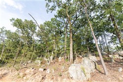 Stone Bridge Phase V Tract 363