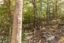 Stone Bridge Phase V Tract 363