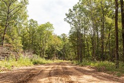 property photo for Stone Bridge Phase V Tract 364, 7.76 acres for sale in LatimerHaskell County, Oklahoma