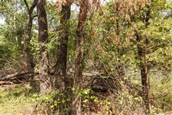 property photo for Stone Bridge Phase V Tract 364, 7.76 acres for sale in LatimerHaskell County, Oklahoma