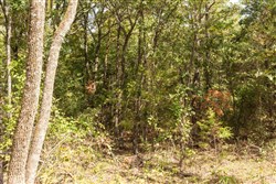 property photo for Stone Bridge Phase V Tract 364, 7.76 acres for sale in LatimerHaskell County, Oklahoma