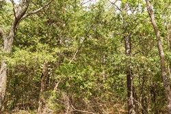 property photo for Stone Bridge Phase V Tract 364, 7.76 acres for sale in LatimerHaskell County, Oklahoma