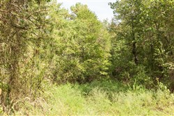 property photo for Stone Bridge Phase V Tract 365, 8.91 acres for sale in LatimerHaskell County, Oklahoma