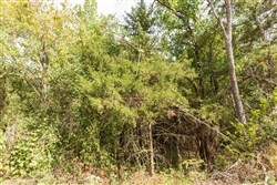 property photo for Stone Bridge Phase V Tract 365, 8.91 acres for sale in LatimerHaskell County, Oklahoma
